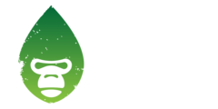 Earthtobody